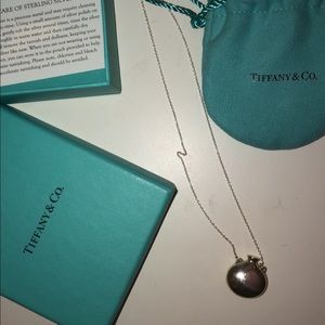 TIFFANY& Co necklace